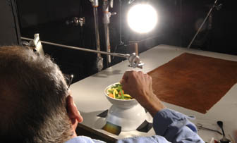 backlight on veggie photograph