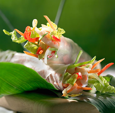Food photography © Michael Ray 2007 – spring roll